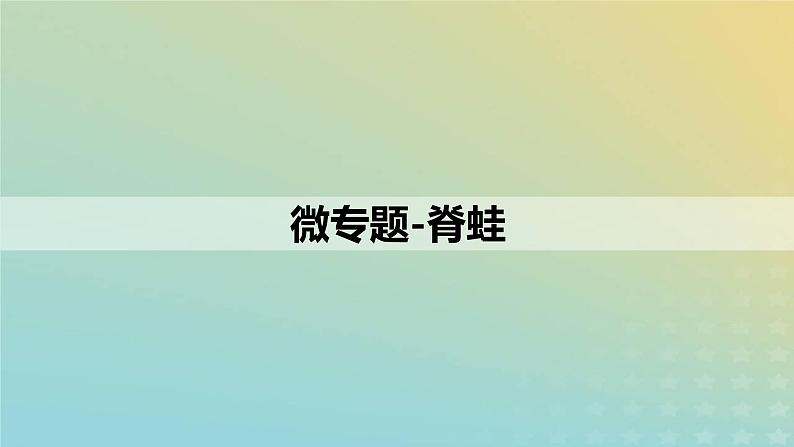 2023_2024学年同步备课精选高中生物第2章微专题之脊蛙课件新人教版选择性必修1第1页