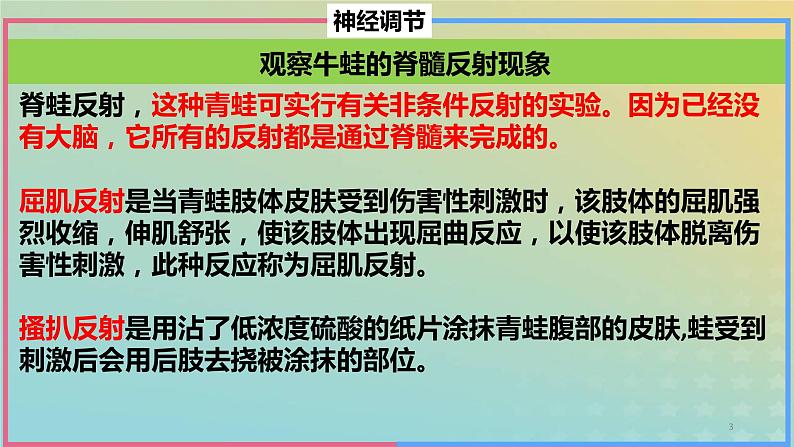 2023_2024学年同步备课精选高中生物第2章微专题之脊蛙课件新人教版选择性必修1第3页