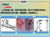 2023_2024学年同步备课精选高中生物第2章微专题之脊蛙课件新人教版选择性必修1