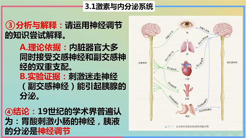 2023_2024学年同步备课精选高中生物3.1激素与内分泌系统第1课时课件新人教版选择性必修107