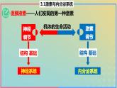 2023_2024学年同步备课精选高中生物3.1激素与内分泌系统第2课时课件新人教版选择性必修1