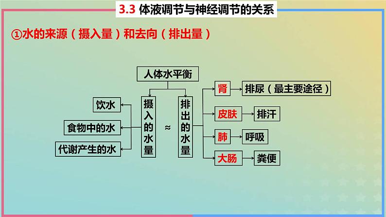 2023_2024学年同步备课精选高中生物3.3体液调节与神经调节的关系第2课时课件新人教版选择性必修1第5页