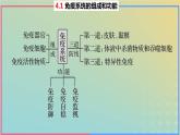 2023_2024学年同步备课精选高中生物4.1免疫系统的组成和功能课件新人教版选择性必修1