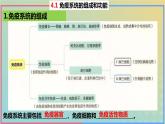 2023_2024学年同步备课精选高中生物4.1免疫系统的组成和功能课件新人教版选择性必修1