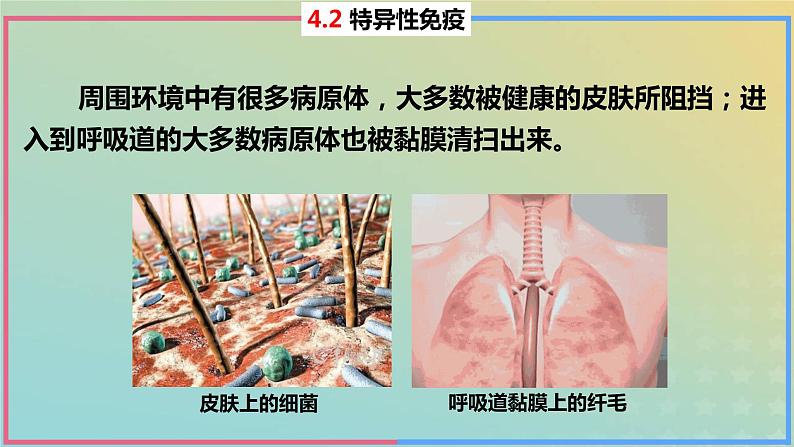 2023_2024学年同步备课精选高中生物4.2特异性免疫第1课时课件新人教版选择性必修106