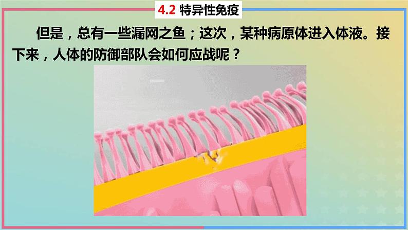 2023_2024学年同步备课精选高中生物4.2特异性免疫第1课时课件新人教版选择性必修107