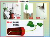 2023_2024学年同步备课精选高中生物5.1植物生长素第1课时课件新人教版选择性必修1