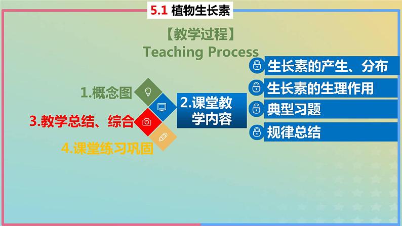 2023_2024学年同步备课精选高中生物5.1植物生长素第2课时课件新人教版选择性必修1第2页