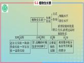 2023_2024学年同步备课精选高中生物5.1植物生长素第2课时课件新人教版选择性必修1