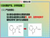 2023_2024学年同步备课精选高中生物5.1植物生长素第2课时课件新人教版选择性必修1