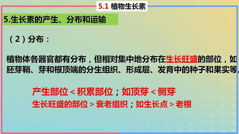 2023_2024学年同步备课精选高中生物5.1植物生长素第2课时课件新人教版选择性必修1第5页