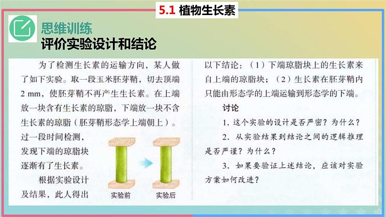 2023_2024学年同步备课精选高中生物5.1植物生长素第2课时课件新人教版选择性必修1第8页