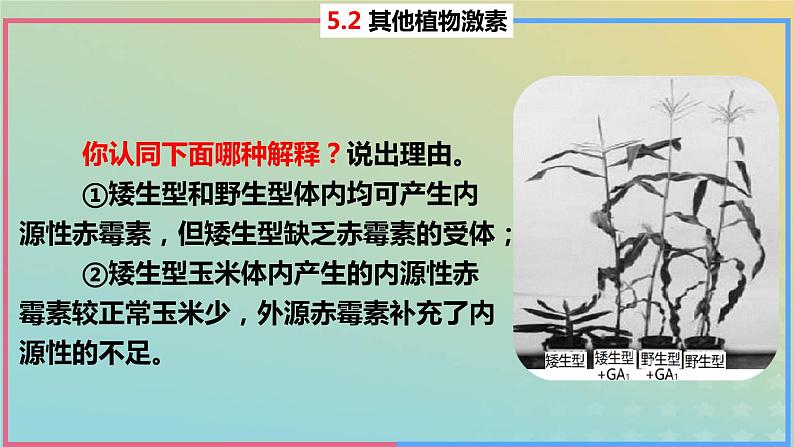 2023_2024学年同步备课精选高中生物5.2其他植物激素课件新人教版选择性必修108