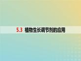 2023_2024学年同步备课精选高中生物5.3植物生长调节剂的应用课件新人教版选择性必修1