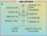 2023_2024学年同步备课精选高中生物5.3植物生长调节剂的应用课件新人教版选择性必修1