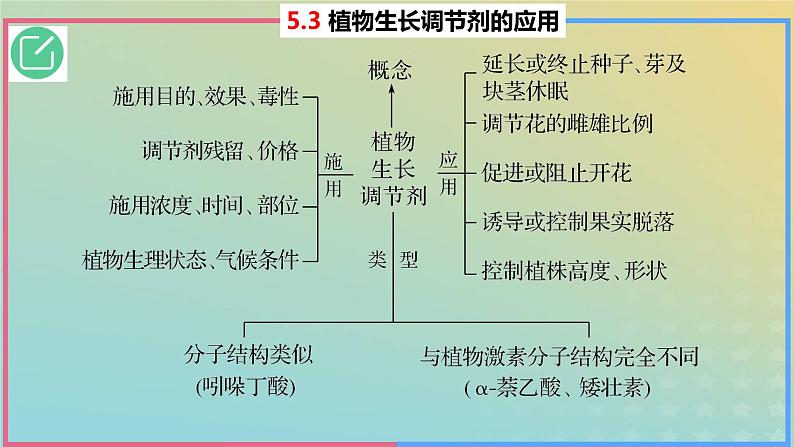 2023_2024学年同步备课精选高中生物5.3植物生长调节剂的应用课件新人教版选择性必修1第3页