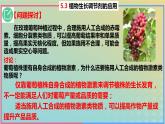 2023_2024学年同步备课精选高中生物5.3植物生长调节剂的应用课件新人教版选择性必修1