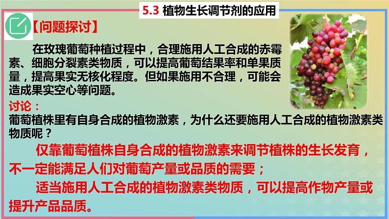 2023_2024学年同步备课精选高中生物5.3植物生长调节剂的应用课件新人教版选择性必修1第4页