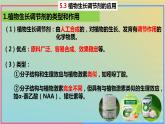2023_2024学年同步备课精选高中生物5.3植物生长调节剂的应用课件新人教版选择性必修1