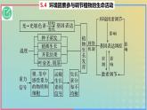 2023_2024学年同步备课精选高中生物5.4环境因素参与调节植物的生命活动课件新人教版选择性必修1