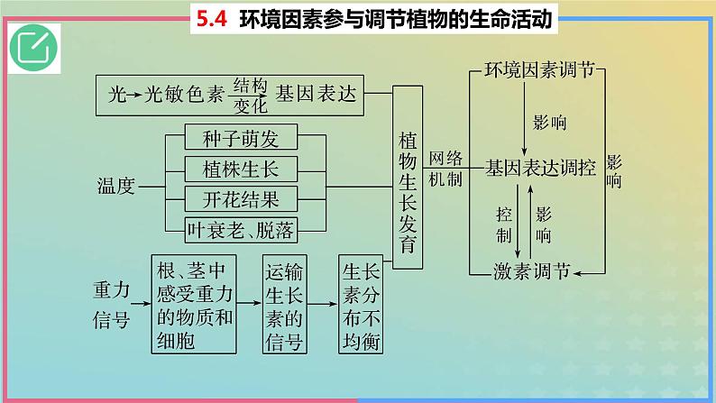 2023_2024学年同步备课精选高中生物5.4环境因素参与调节植物的生命活动课件新人教版选择性必修103