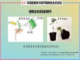 2023_2024学年同步备课精选高中生物5.4环境因素参与调节植物的生命活动课件新人教版选择性必修1