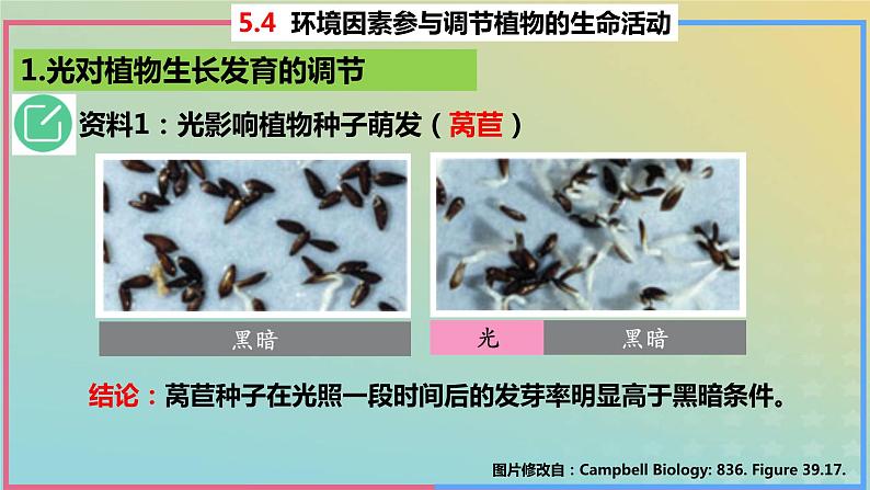 2023_2024学年同步备课精选高中生物5.4环境因素参与调节植物的生命活动课件新人教版选择性必修106