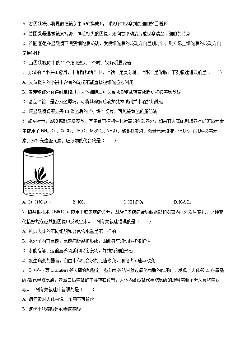 2024沈阳二中高一上学期10月阶段测试生物含解析第2页