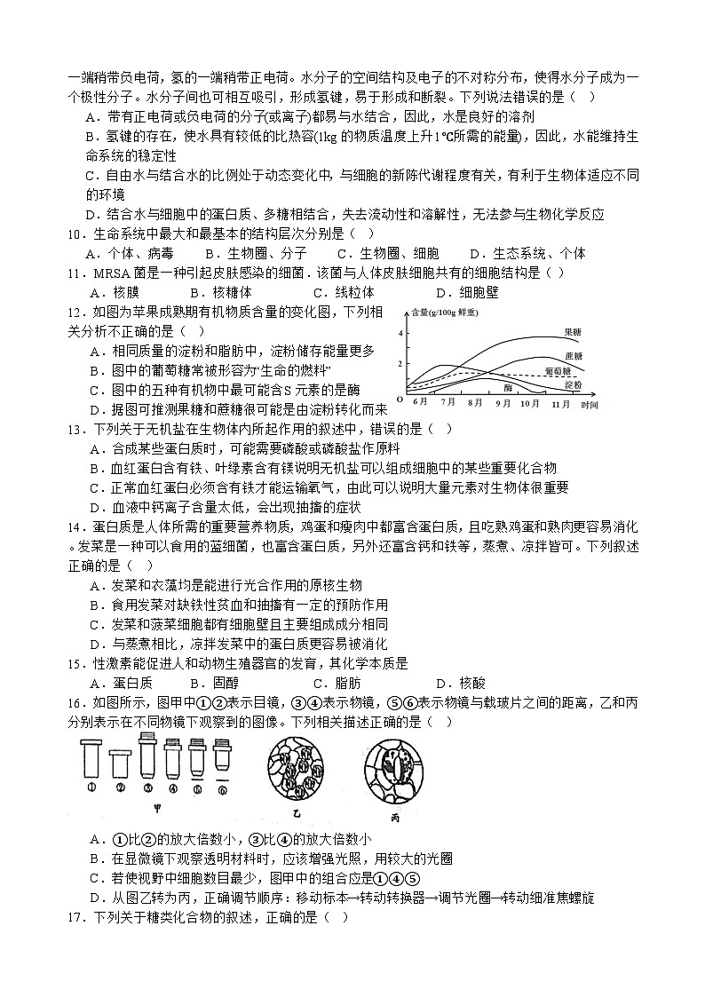 2024南充嘉陵一中高一上学期第一次月考试题（10月）生物含答案、答题卡02