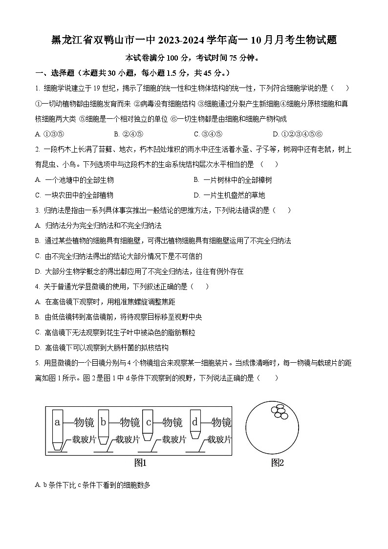 2024省双鸭山一中高一上学期10月月考试题生物含解析第1页