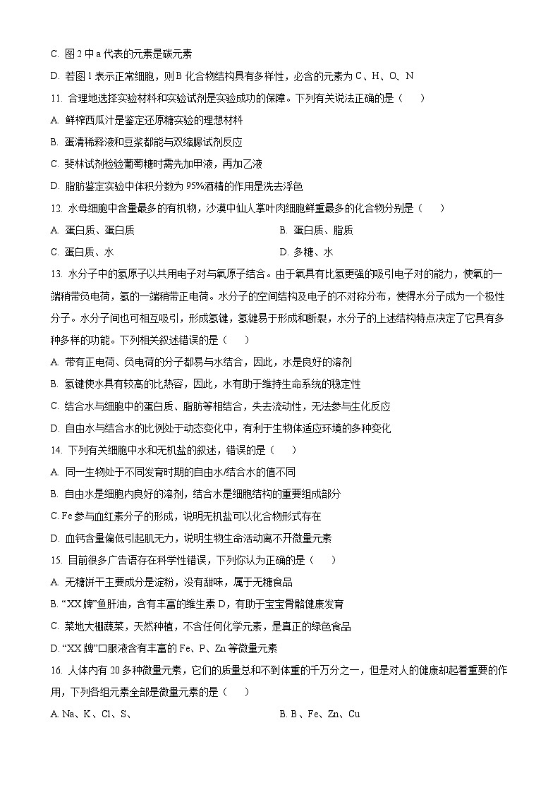 2024省双鸭山一中高一上学期10月月考试题生物含解析第3页