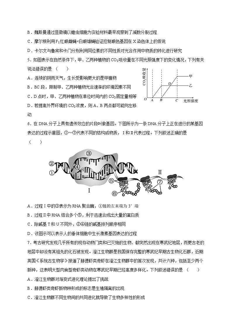 广东省四校2023-2024学年高三上学期联考（二）生物试题  Word版无答案第2页