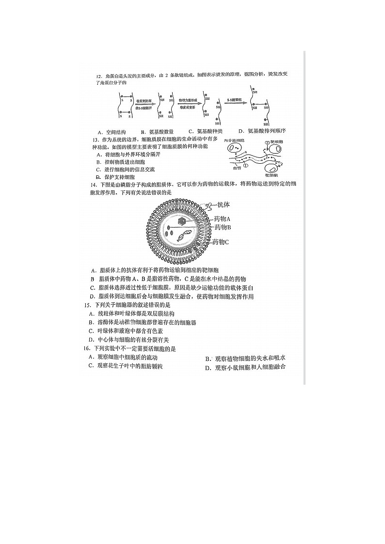 2023届江苏省淮阴中学高一上学期生物期中试题03