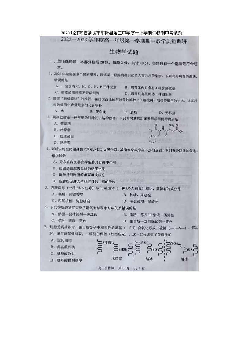 2023届江苏省盐城市射阳县第二中学高一上学期生物期中考试题01