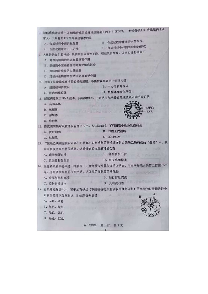 2023届江苏省盐城市射阳县第二中学高一上学期生物期中考试题02
