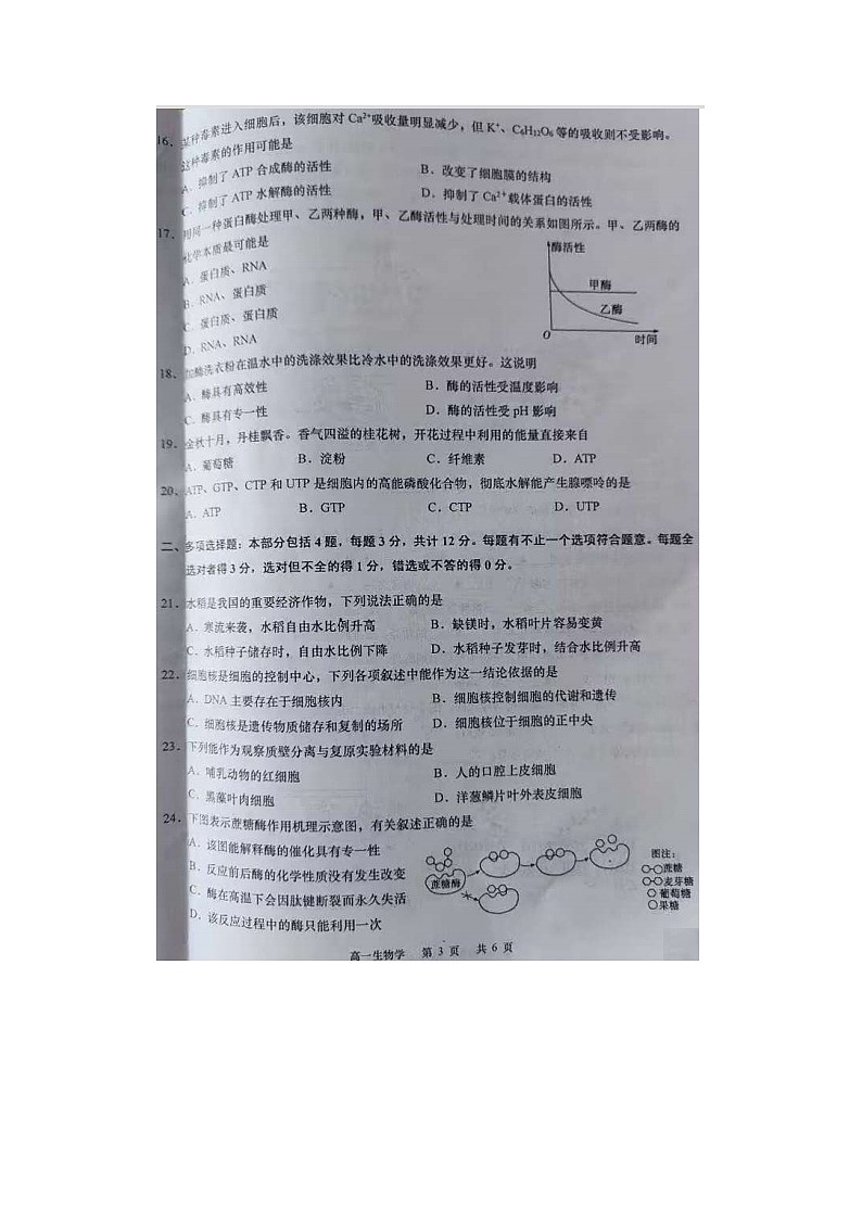 2023届江苏省盐城市射阳县第二中学高一上学期生物期中考试题03