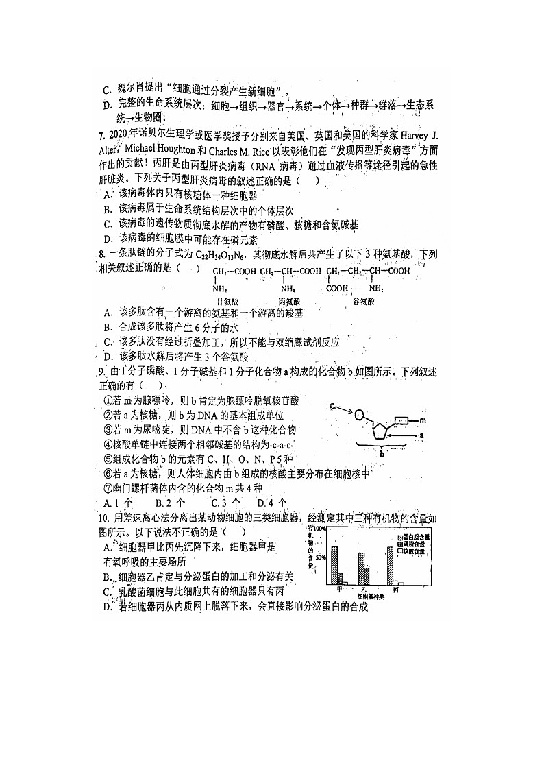2023届山东省青岛市二中高一上学期生物期中试题02