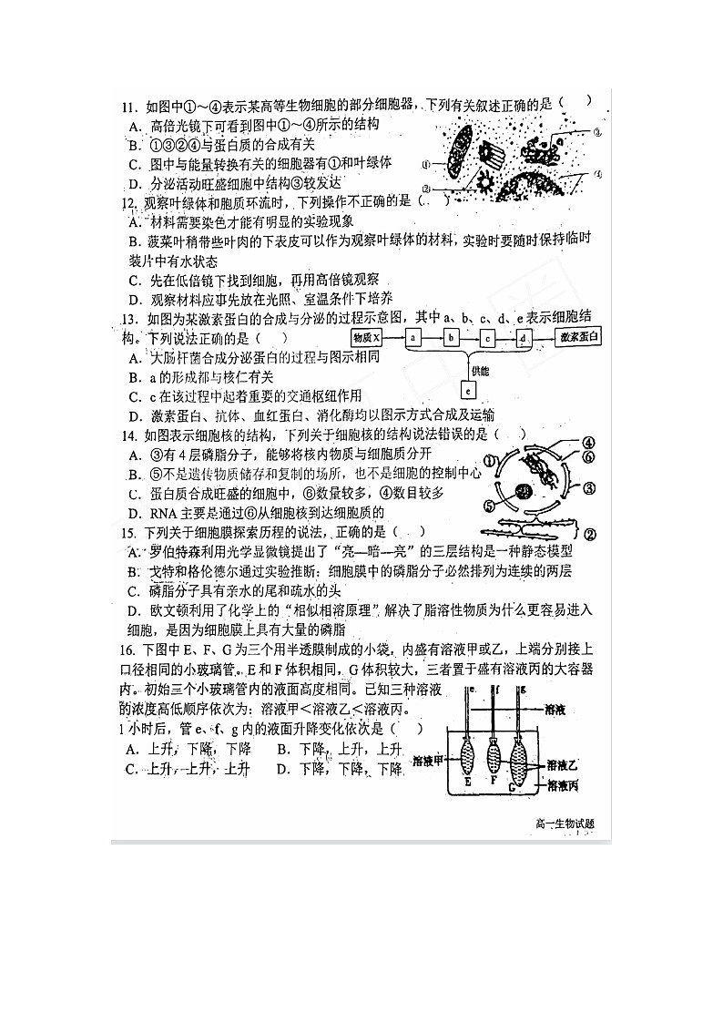 2023届山东省青岛市二中高一上学期生物期中试题03