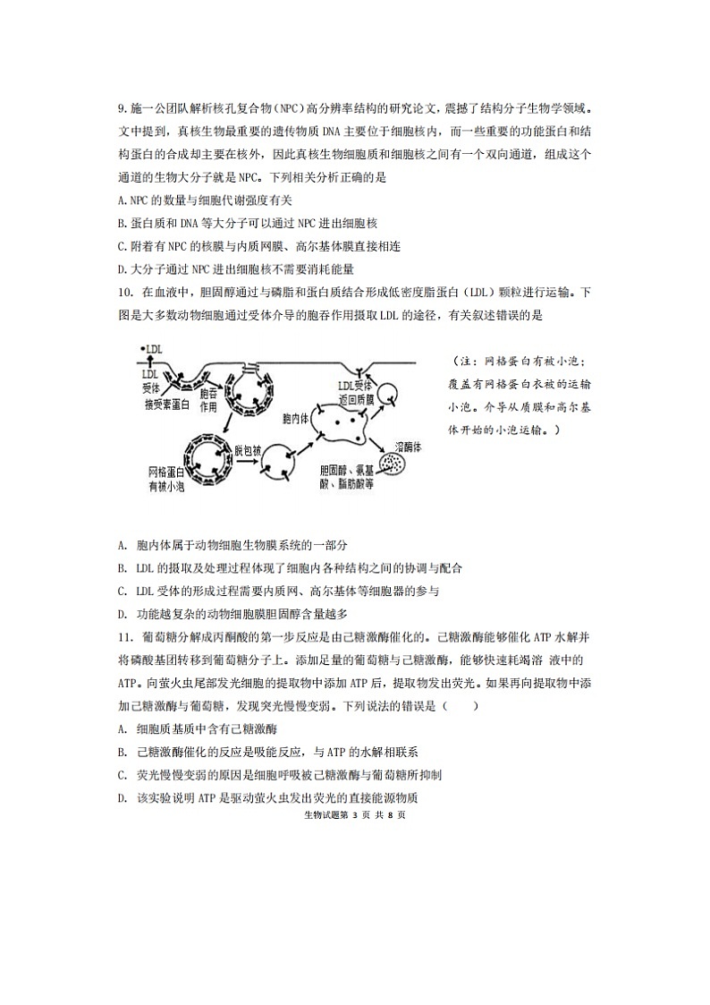 2023届山东省枣庄市第三中学高一上学期生物期中试题03