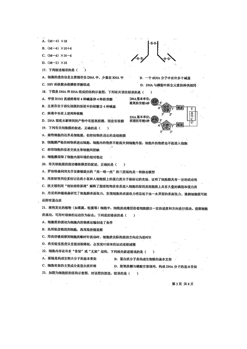 2023届云南省广南县第十中学校高一上学期生物期中试题03