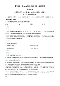 四川省宜宾市叙州区第一中学2023-2024学年高一生物上学期10月月考试题（Word版附解析）