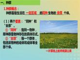 2023_2024学年同步备课精选高中生物1.1种群的数量特征课件新人教版选择性必修2