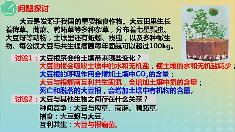 2023_2024学年同步备课精选高中生物3.1生态系统的结构课件新人教版选择性必修2第4页