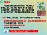 2023_2024学年同步备课精选高中生物3.1生态系统的结构课件新人教版选择性必修2