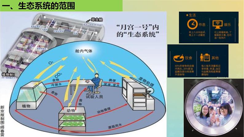 2023_2024学年同步备课精选高中生物3.1生态系统的结构课件新人教版选择性必修2第6页