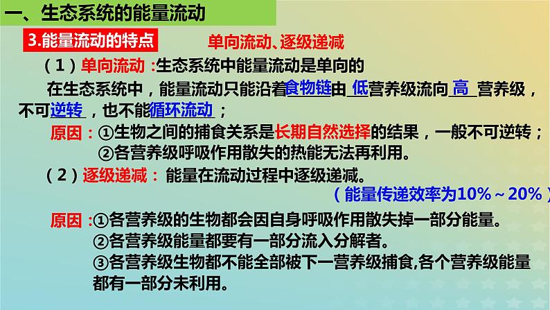 2023_2024学年同步备课精选高中生物3.2生态系统的能量流动第2课时课件新人教版选择性必修2第4页