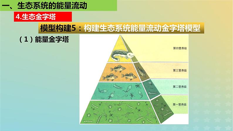 2023_2024学年同步备课精选高中生物3.2生态系统的能量流动第2课时课件新人教版选择性必修2第8页