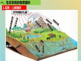 2023_2024学年同步备课精选高中生物3.3生态系统的物质循环课件新人教版选择性必修2