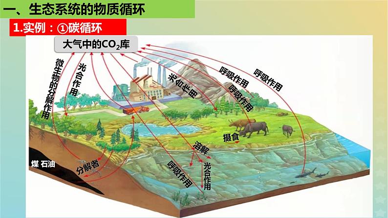 2023_2024学年同步备课精选高中生物3.3生态系统的物质循环课件新人教版选择性必修2第4页