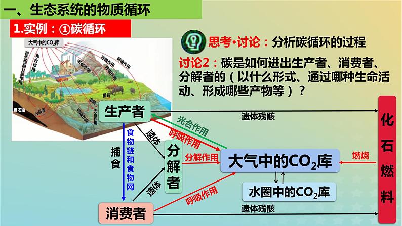 2023_2024学年同步备课精选高中生物3.3生态系统的物质循环课件新人教版选择性必修2第6页